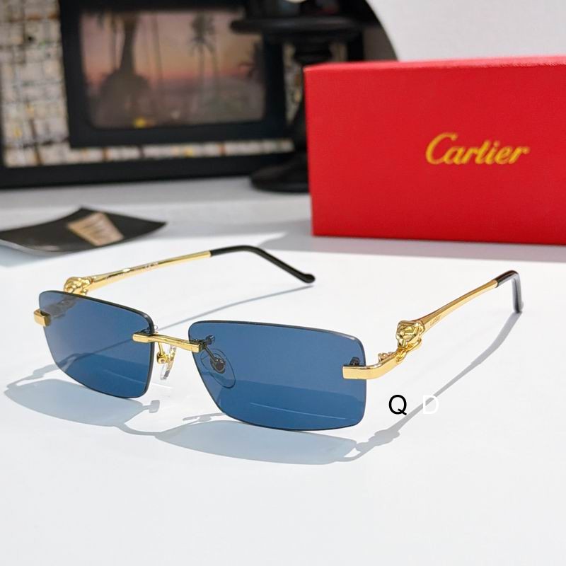 Cartier CT034OS 58 15-140 A03