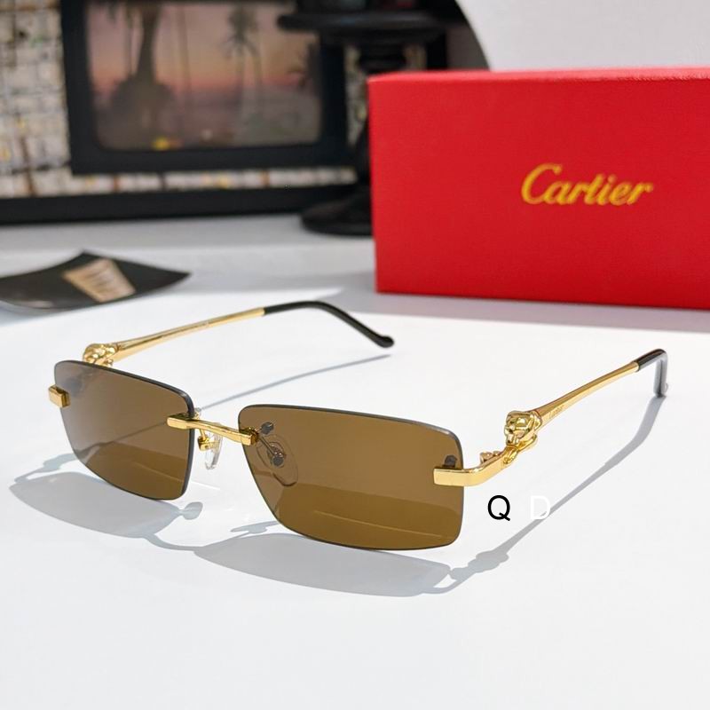 Cartier CT034OS 58 15-140 A07