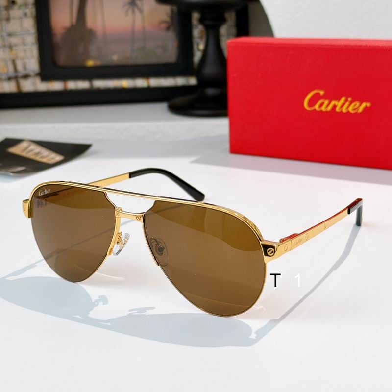 Cartier CT0386S 60 15-140 a04