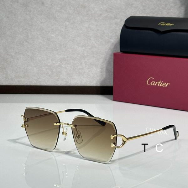 Cartier CT0466S 58 16-145 c02