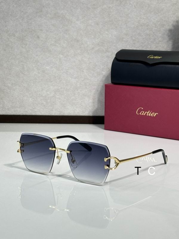 Cartier CT0466S 58 16-145 c03