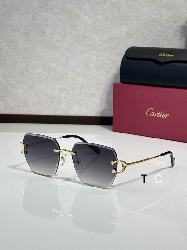 Cartier CT0466S 58 16-145 c04