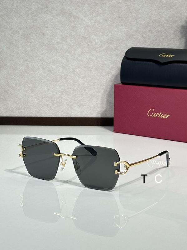 Cartier CT0466S 58 16-145 c05