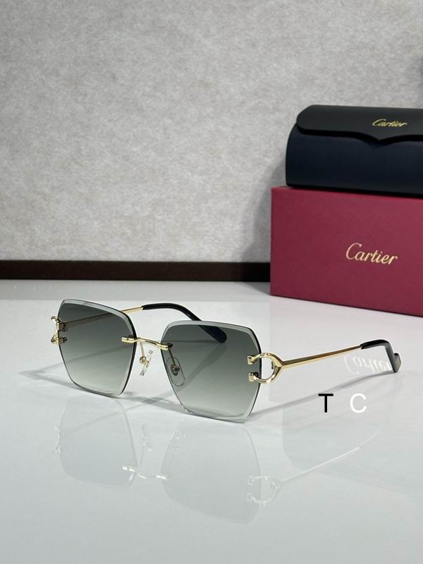 Cartier CT0466S 58 16-145 c06