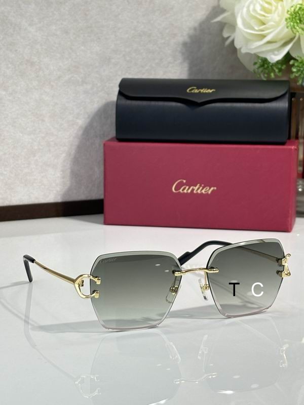 Cartier CT0466S 58 16-145 c07