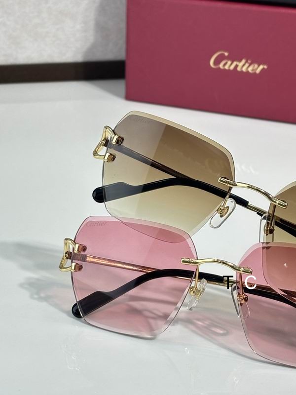Cartier CT0466S 58 16-145 c08