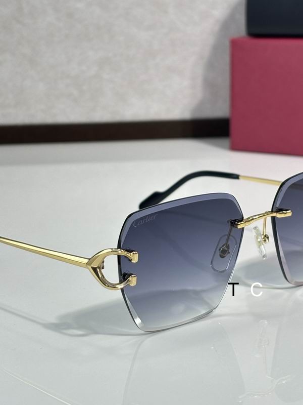 Cartier CT0466S 58 16-145 c09