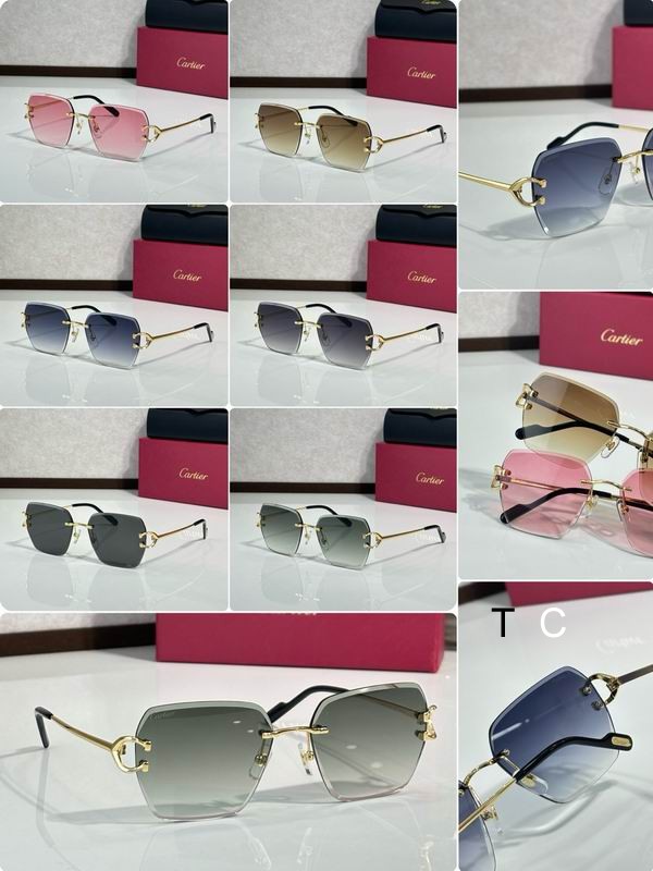 Cartier CT0466S 58 16-145 c10