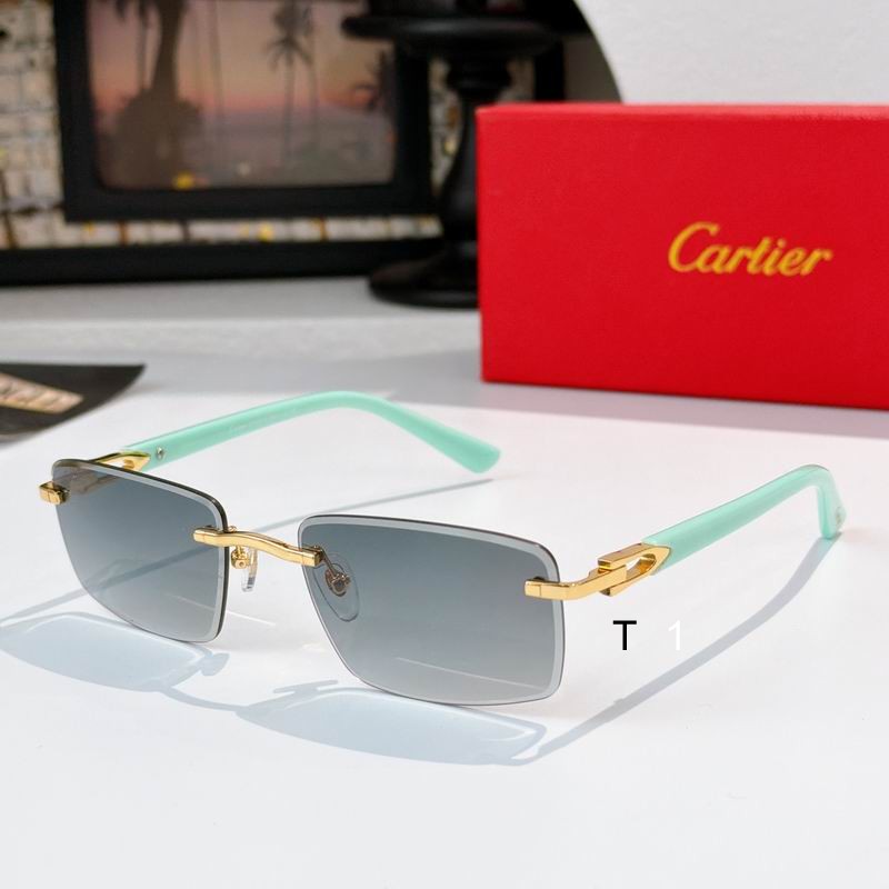 Cartier CT0582S 56 19-145 a04