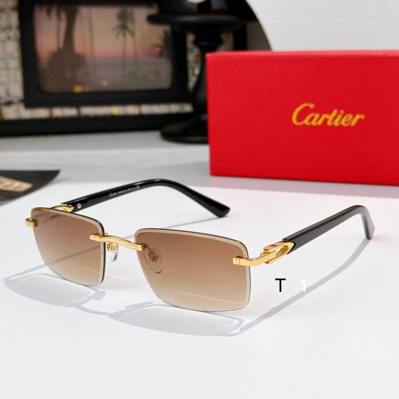 Cartier CT0582S 56 19-145 a06