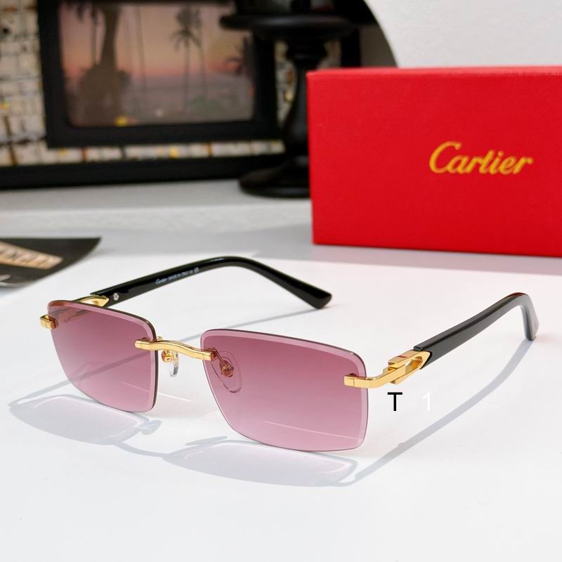 Cartier CT0582S 56 19-145 a07