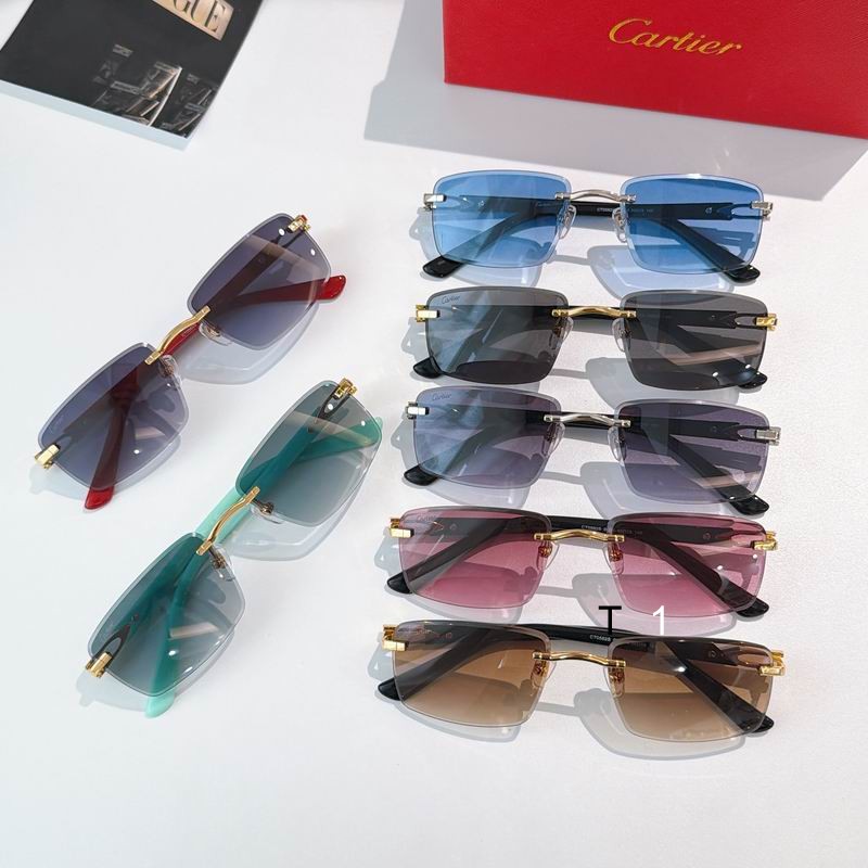 Cartier CT0582S 56 19-145 a09