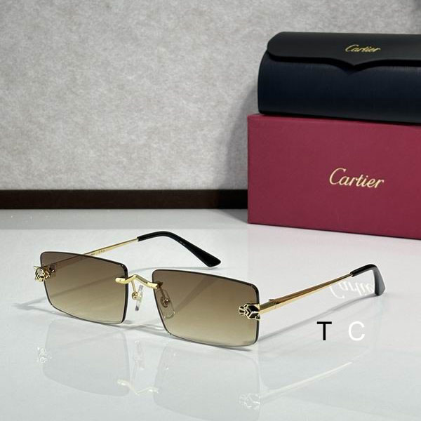 Cartier CT0598S 59 18-140 c01
