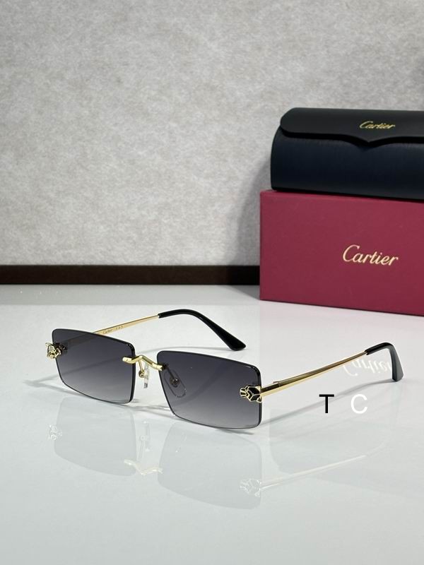 Cartier CT0598S 59 18-140 c02