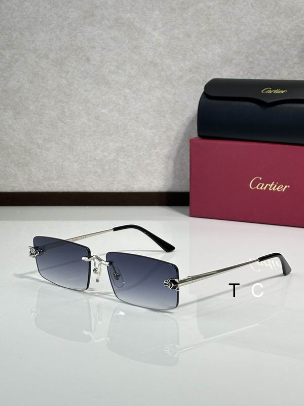 Cartier CT0598S 59 18-140 c04