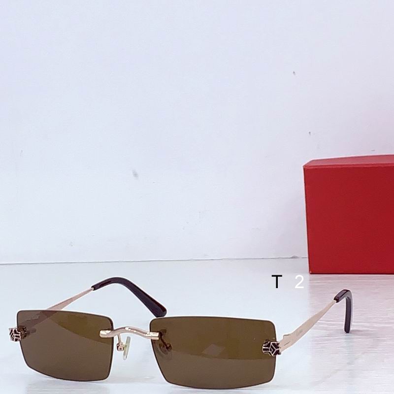 Cartier CT0599 145 b 01