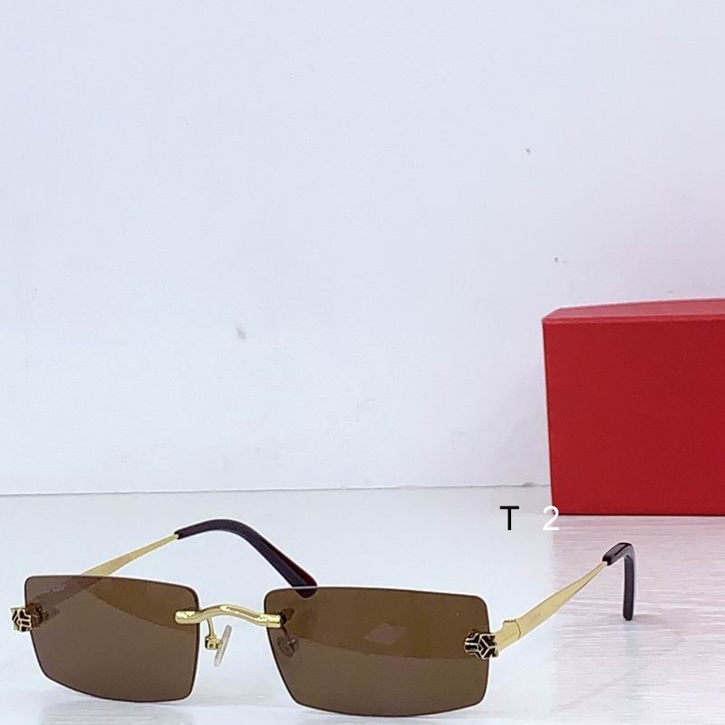 Cartier CT0599 145 b 05