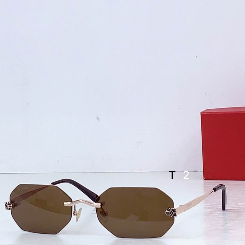 Cartier CT0599 145 b01