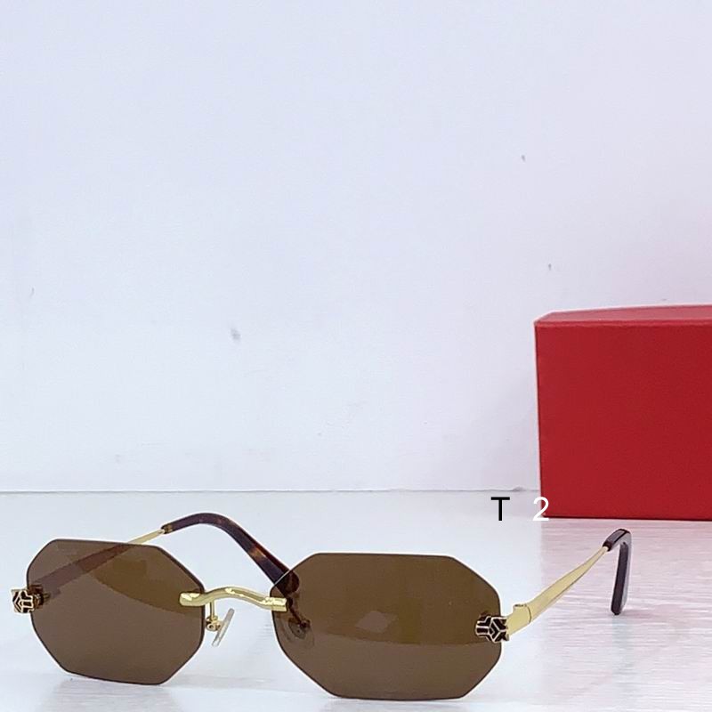 Cartier CT0599 145 b02