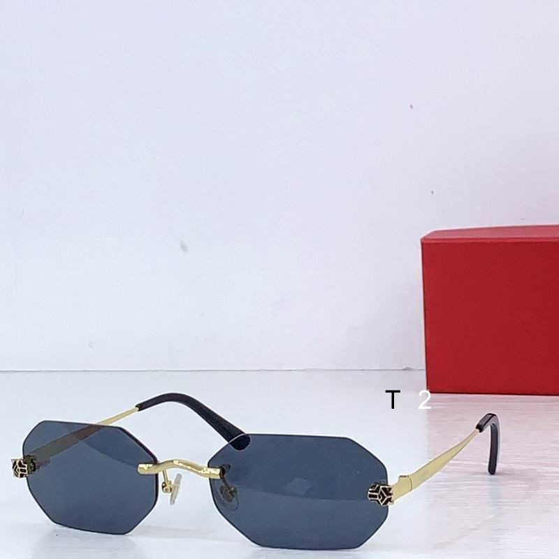 Cartier CT0599 145 b05