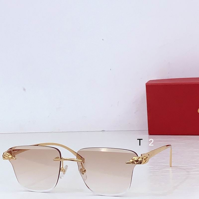 Cartier CT0715S 138 b05