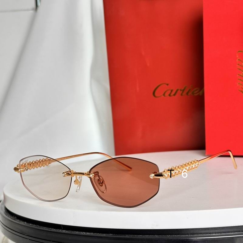 Cartier CT0733S 57 17-145 e07