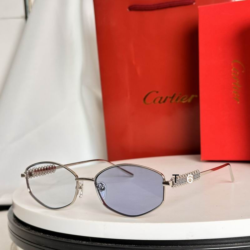 Cartier CT0740S 143 e04