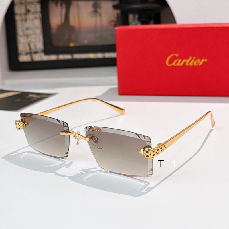 Cartier CT0783S 58 17-143 a03