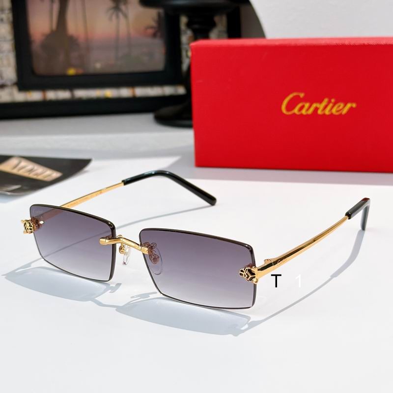 Cartier CT0794S 143 a02