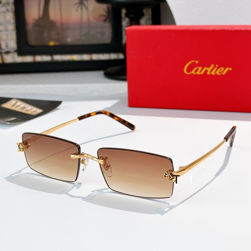 Cartier CT0794S 143 a03
