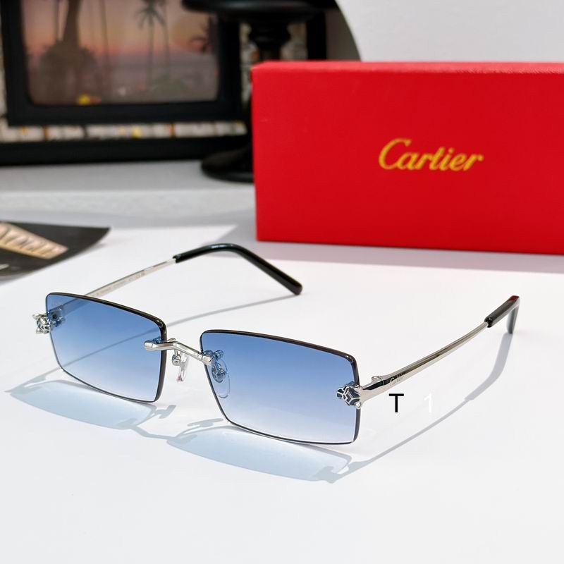 Cartier CT0794S 143 a04