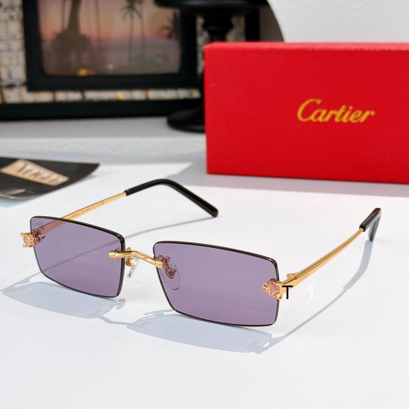 Cartier CT0794S 143 a05