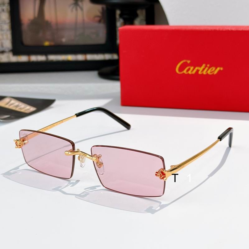 Cartier CT0794S 143 a06