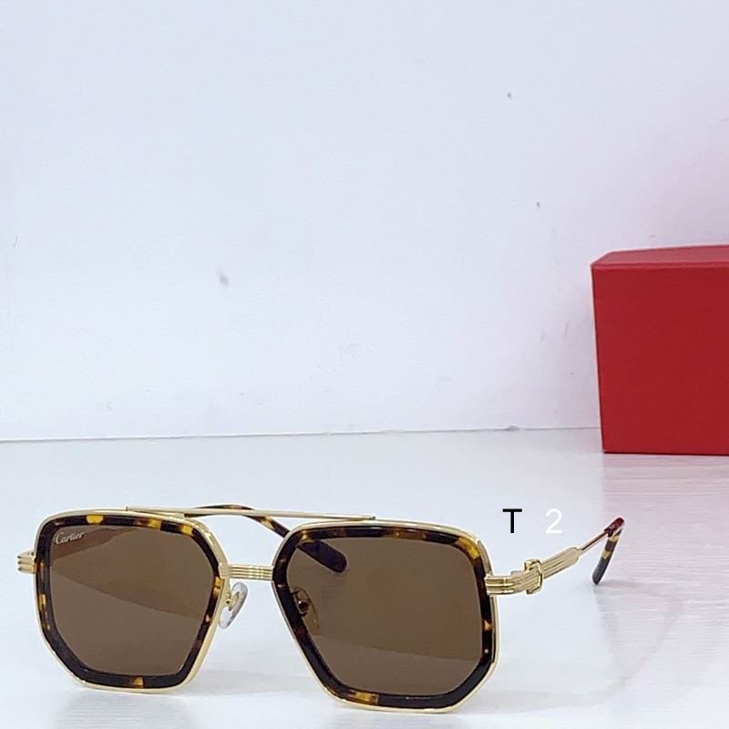 Cartier CT0863S 54 20-145 b04