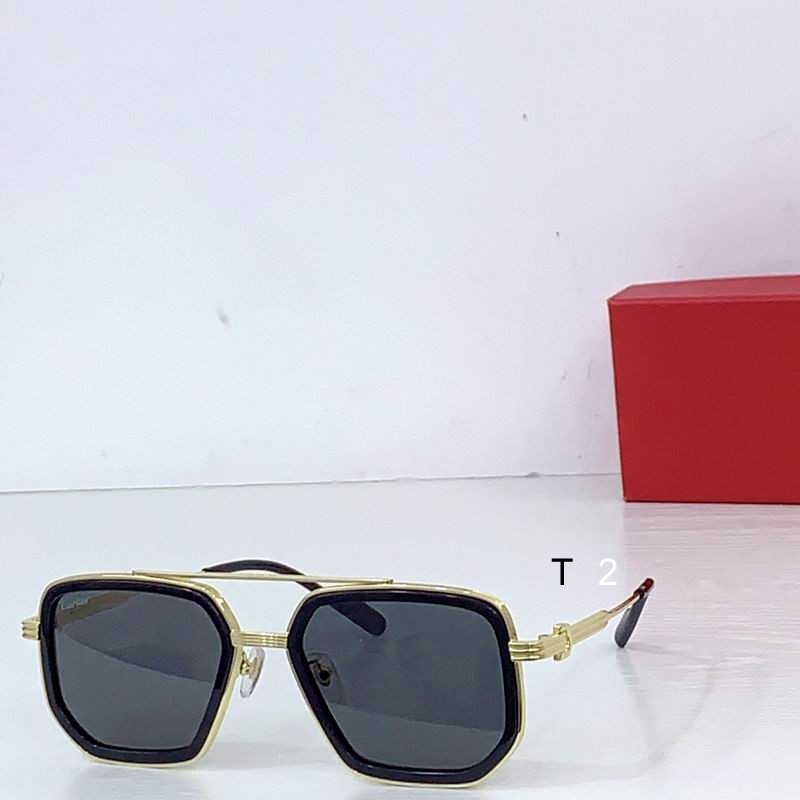 Cartier CT0863S 54 20-145 b06