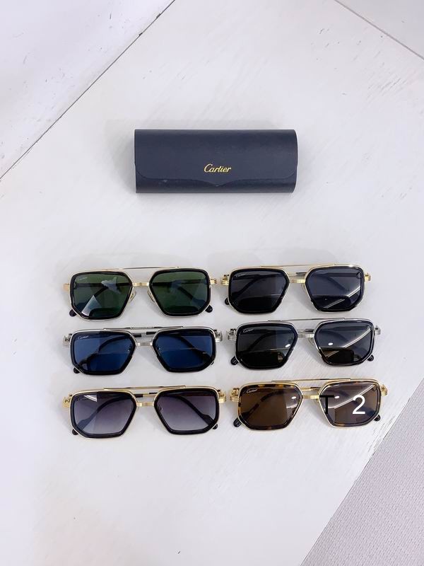 Cartier CT0863S 54 20-145 b09