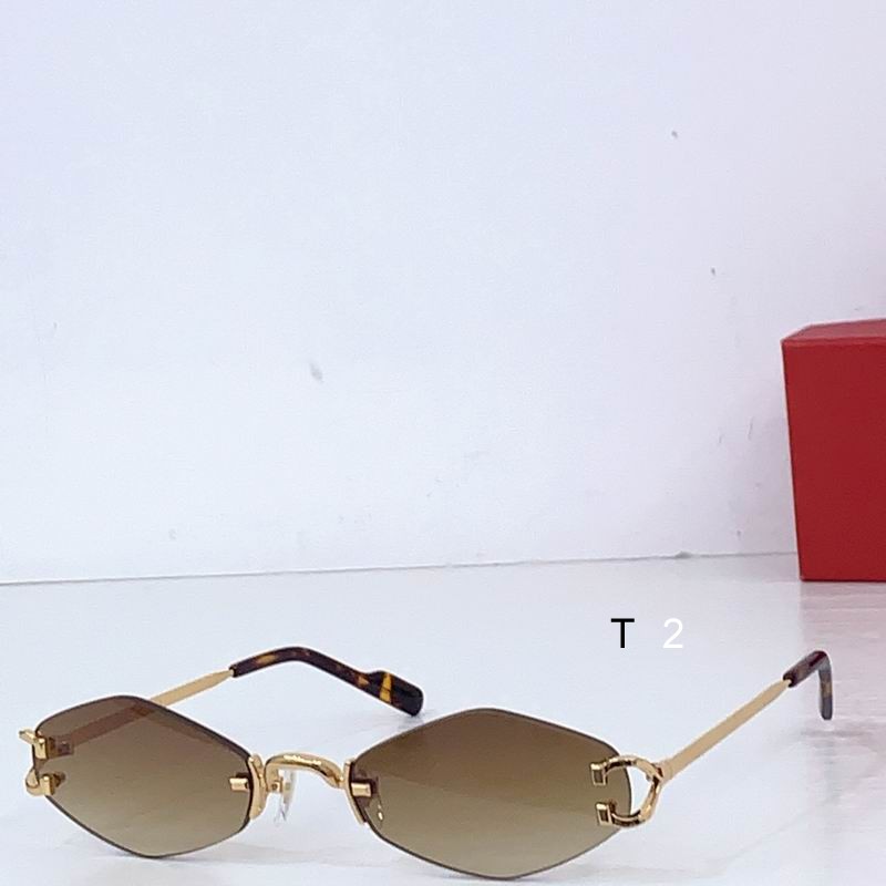 Cartier CT8100359 48 20-145 b02