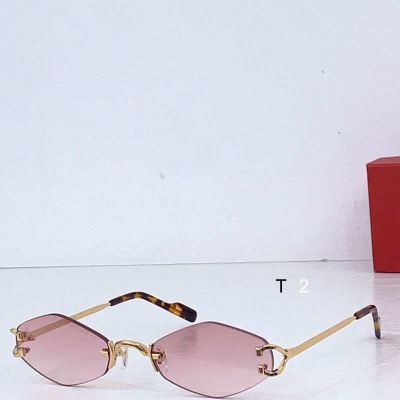 Cartier CT8100359 48 20-145 b03