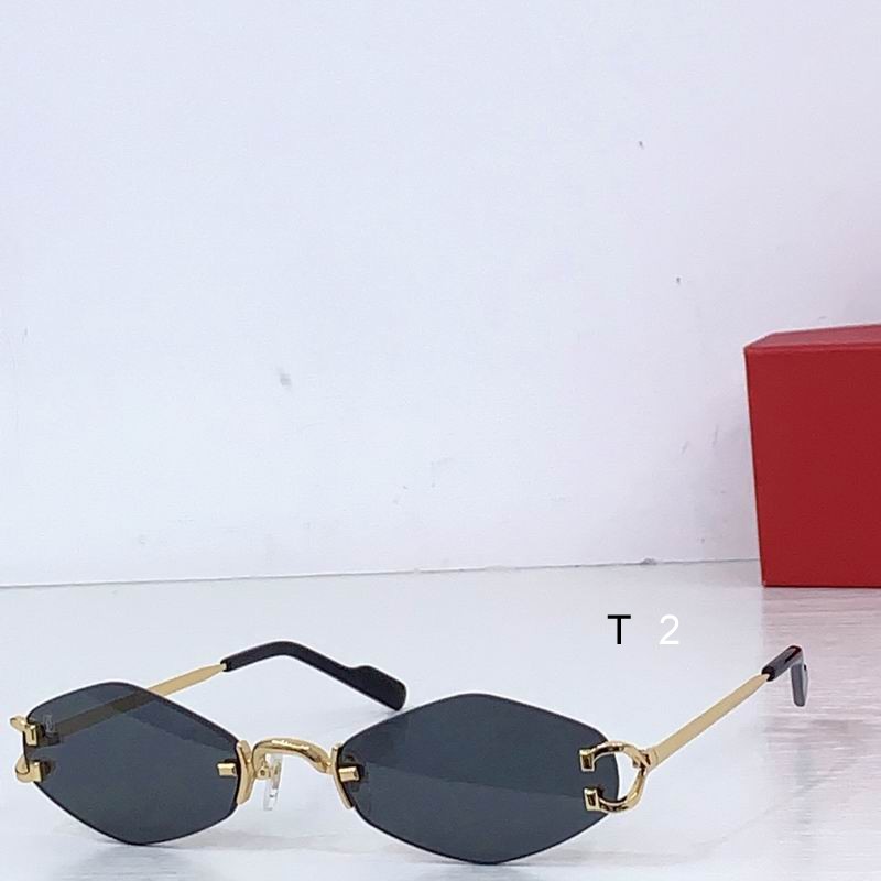 Cartier CT8100359 48 20-145 b04