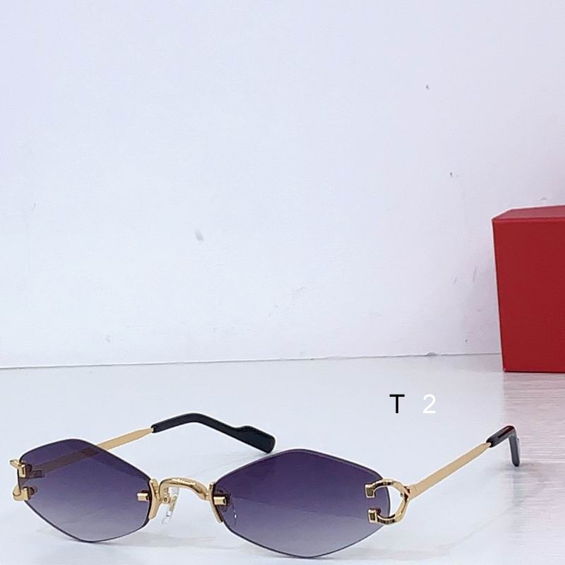 Cartier CT8100359 48 20-145 b05