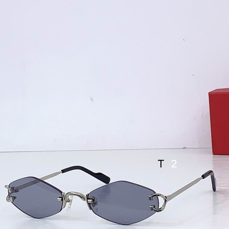 Cartier CT8100359 48 20-145 b06