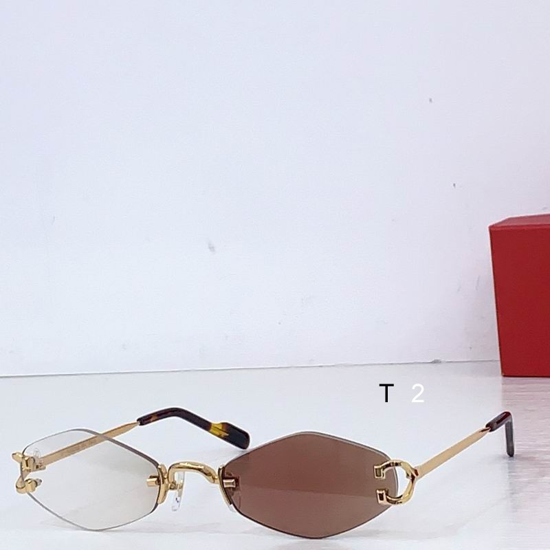 Cartier CT8100359 48 20-145 b08