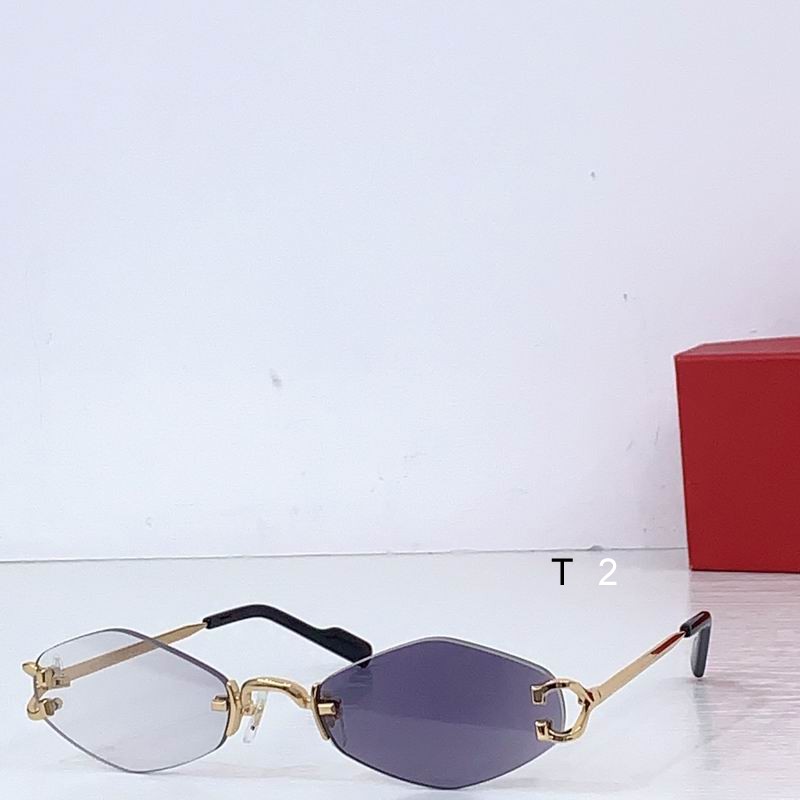 Cartier CT8100359 48 20-145 b09