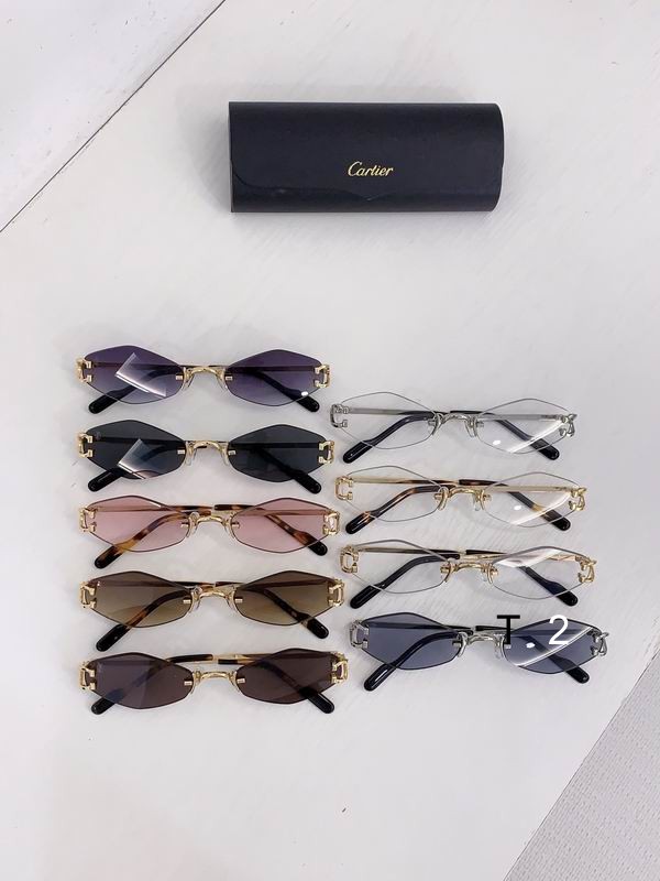 Cartier CT8100359 48 20-145 b10