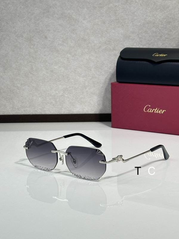 Cartier CT820059O 58 18-135 c01