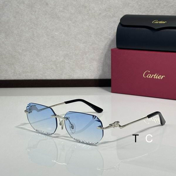 Cartier CT820059O 58 18-135 c02