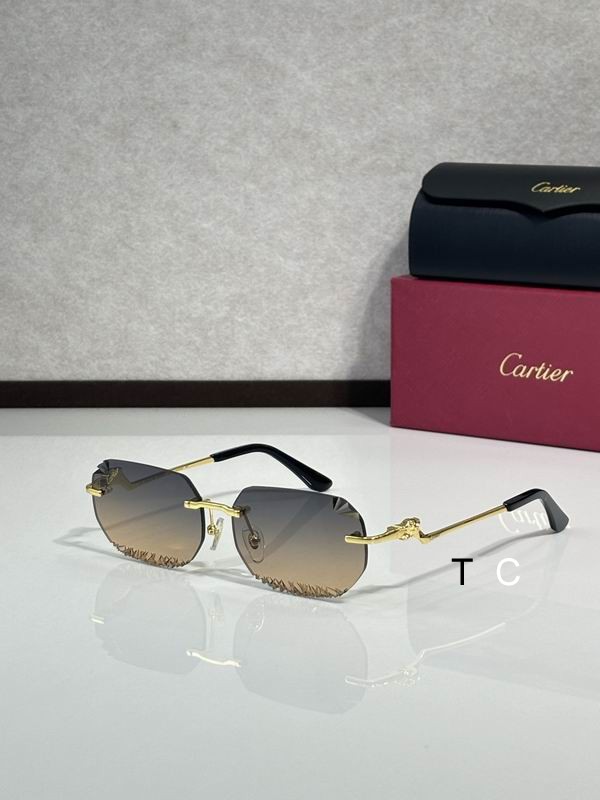 Cartier CT820059O 58 18-135 c04