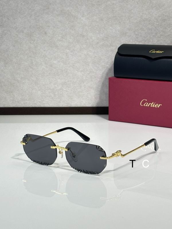 Cartier CT820059O 58 18-135 c05