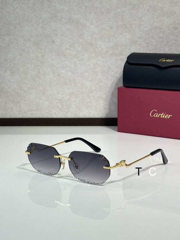 Cartier CT820059O 58 18-135 c06