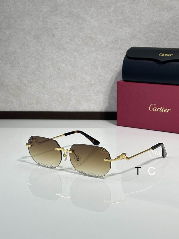 Cartier CT820059O 58 18-135 c08